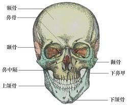 口腔医学353,章节练习,基础复习,口腔颌面外科学
