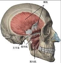 口腔医学353,章节练习,基础复习,口腔颌面外科学