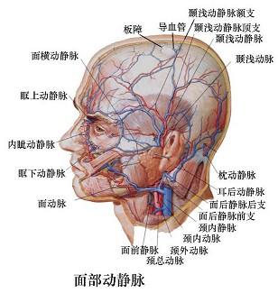 口腔医学353,章节练习,基础复习,口腔颌面外科学