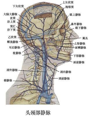 口腔医学353,章节练习,基础复习,口腔颌面外科学