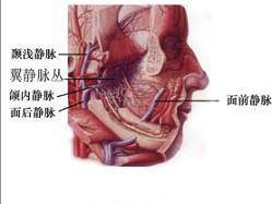 口腔医学353,章节练习,基础复习,口腔颌面外科学