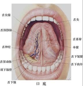 口腔医学353,章节练习,基础复习,口腔颌面外科学