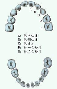 口腔医学353,章节练习,基础复习,口腔颌面外科学