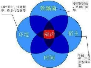 口腔内科354,章节练习,口腔内科学