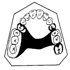 口腔内科354,章节练习,口腔修复学
