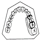口腔内科354,章节练习,口腔修复学
