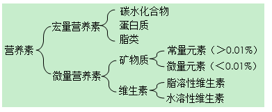 健康管理师三级,章节练习,基础复习,营养与食品安全