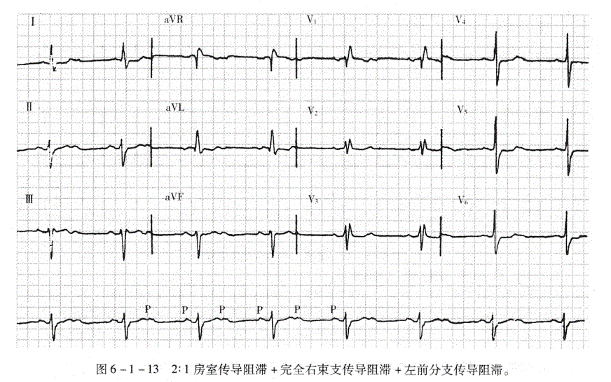 临床执业医师,章节练习,临床执业医师实践技能