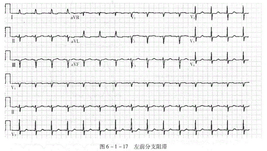 临床执业医师,章节练习,临床执业医师实践技能