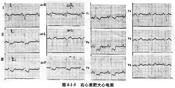 临床执业医师,章节练习,临床执业医师实践技能