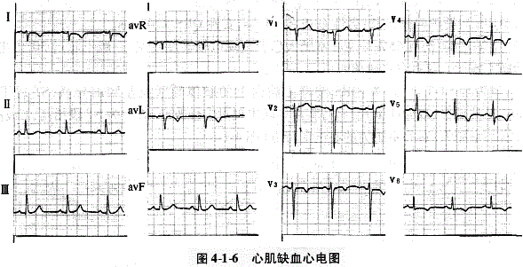 临床执业医师,章节练习,临床执业医师实践技能