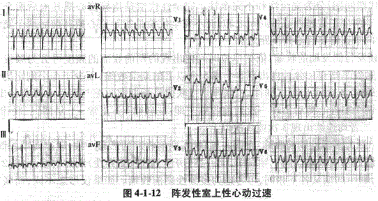 临床执业医师,章节练习,临床执业医师实践技能