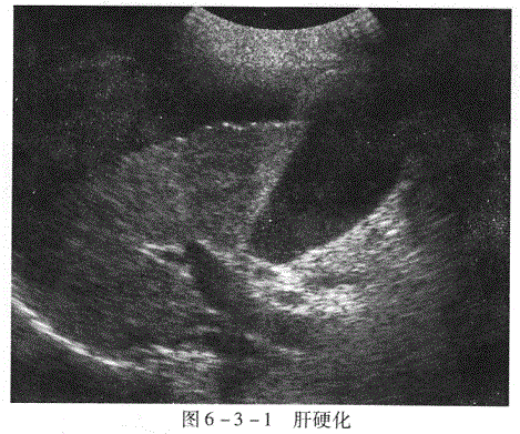 临床执业医师,章节练习,临床执业医师实践技能