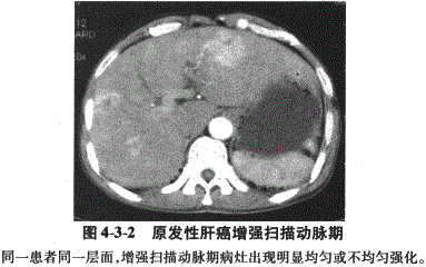 临床执业医师,章节练习,临床执业医师实践技能