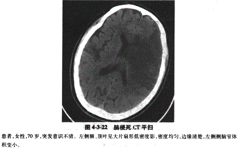临床执业医师,章节练习,临床执业医师实践技能