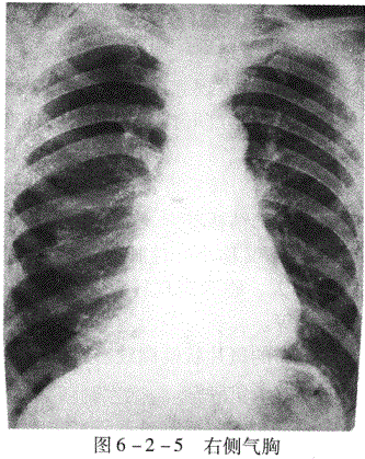 临床执业医师,章节练习,临床执业医师实践技能