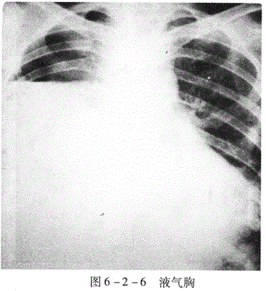 临床执业医师,章节练习,临床执业医师实践技能