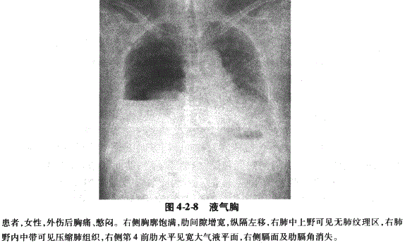临床执业医师,章节练习,临床执业医师实践技能