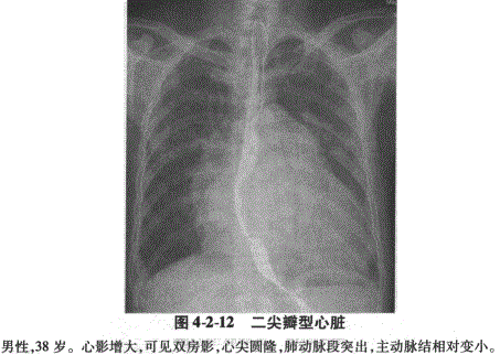 临床执业医师,章节练习,临床执业医师实践技能