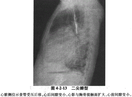 临床执业医师,章节练习,临床执业医师实践技能