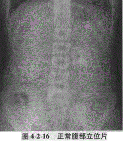 临床执业医师,章节练习,临床执业医师实践技能
