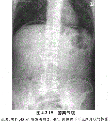 临床执业医师,章节练习,临床执业医师实践技能