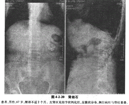 临床执业医师,章节练习,临床执业医师实践技能