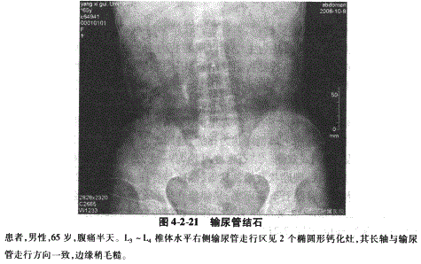 临床执业医师,章节练习,临床执业医师实践技能