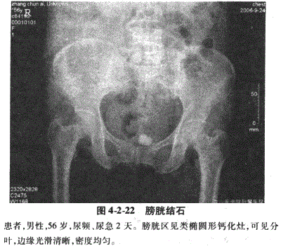 临床执业医师,章节练习,临床执业医师实践技能