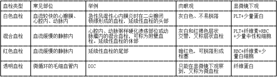 卫生招聘（病理学汇总）,章节练习,基础复习,病理学专业