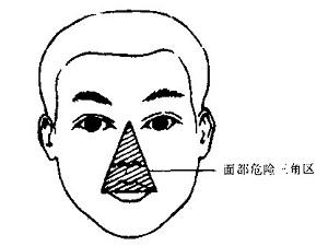卫生招聘（耳鼻喉科汇总）,章节练习,基础复习,鼻科学