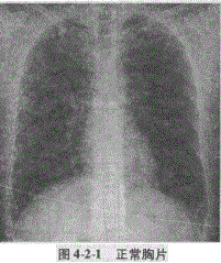 临床助理医师,章节练习,临床助理医师实践技能