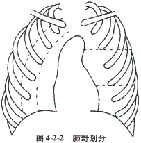 临床助理医师,章节练习,临床助理医师实践技能