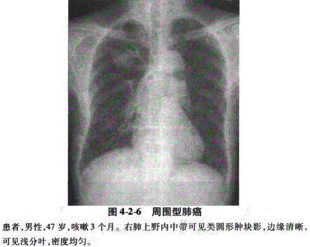 临床助理医师,章节练习,临床助理医师实践技能