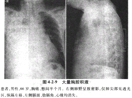 临床助理医师,章节练习,临床助理医师实践技能