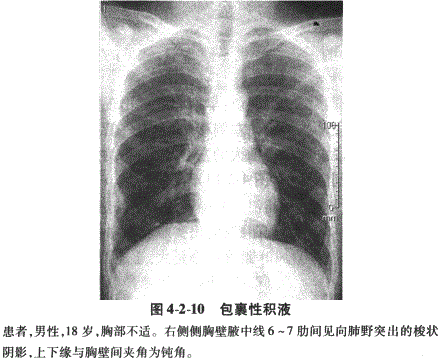 临床助理医师,章节练习,临床助理医师实践技能