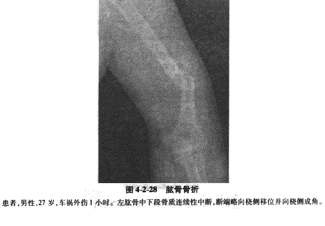 临床助理医师,章节练习,临床助理医师实践技能