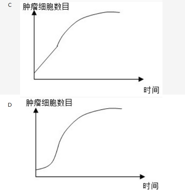 高级网络规划设计师,章节练习,应用数学