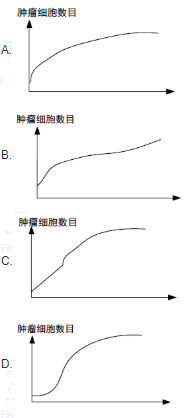 高级网络规划设计师,历年真题,2012年下半年（上午）《网络规划设计师（综合知识）》真题