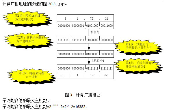 中级网络工程师,真题专项训练,网络技术