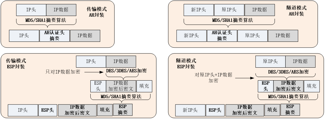 中级网络工程师,真题专项训练,综合练习