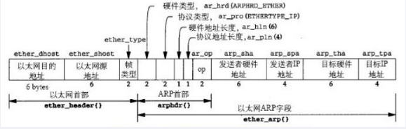 中级网络工程师,章节练习,网络基础理论