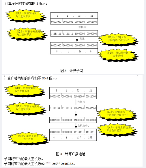 中级网络工程师,章节练习,网络基础理论