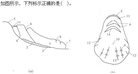 专业案例,章节练习,水利水电专业案例