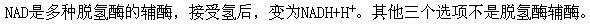 专业基础知识（给排水）,章节练习,水处理微生物学（给排水）