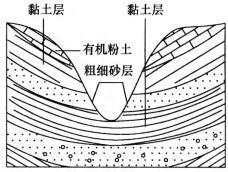 设计前期与场地设计,章节练习,基础复习,设计前期综合练习3