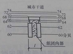 设计前期与场地设计,章节练习,设计前期
