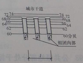设计前期与场地设计,章节练习,设计前期