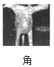 三支一扶行测,章节练习,常识判断,强化练习