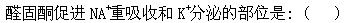 军队文职农学,章节练习,动物生理学